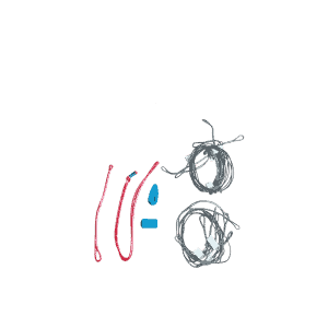 Front Bridle Set Rebel SLS left/red (SS24) - Duotone_Kiteboarding_Front-Bridle-Set-Rebel-SLS-left/red-(SS24)_Product-Pictures_1